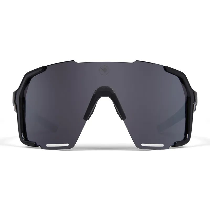 Alennettu Hinta Endura Singletrack Frameless Glasses