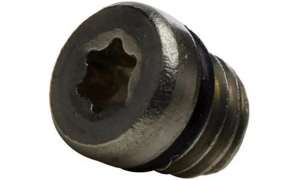 Ajankohtainen Levyjarrukahvan korjaussarja Avid reservoir bleed screw stainless steel (20 kpl.)