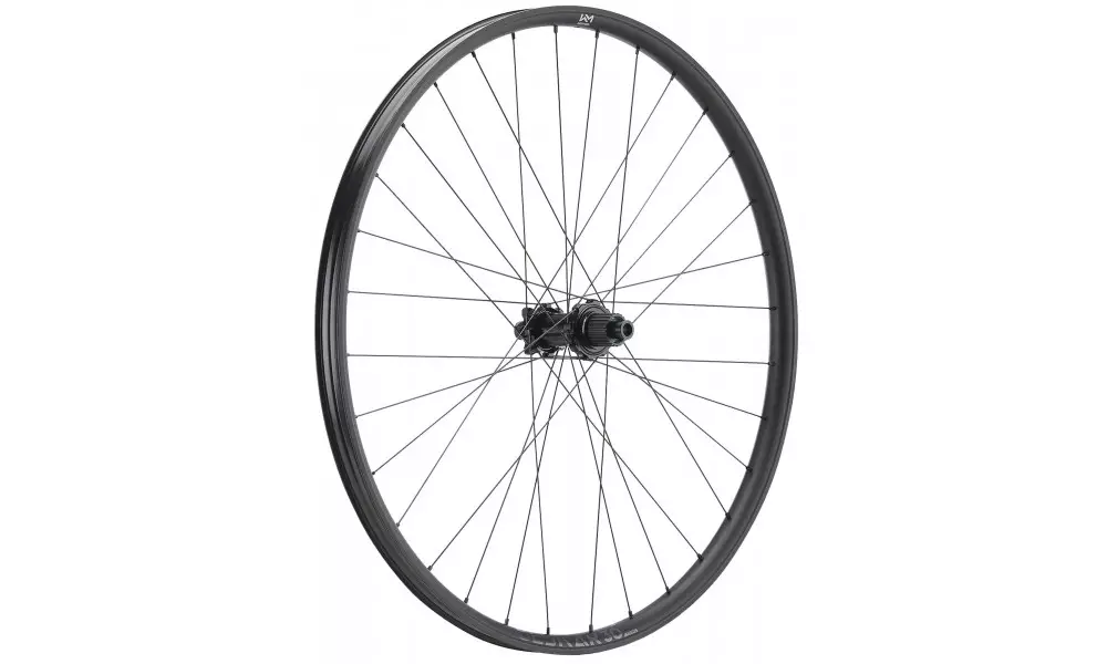 Takapyörä NEWMEN Beskar Alu 30 strong 29" 32H SP 6-bolt 12x157 MicroSpline Edullinen