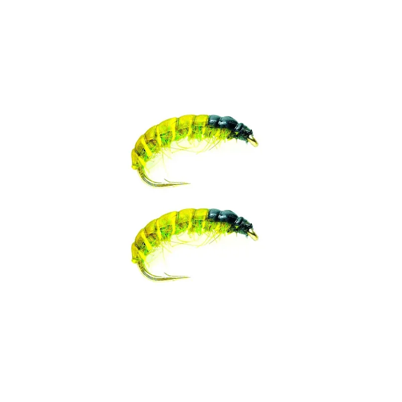 Eumer Czech Olive larvaperho Halpa