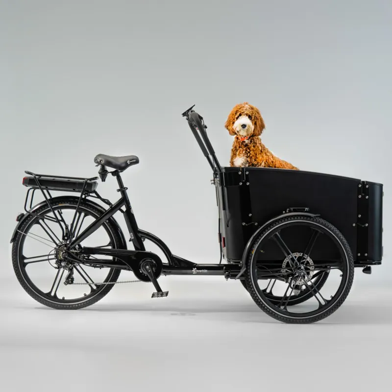 Turvallinen Maksu Sähkökuormapyörä CARGOBIKE of SWEDEN Flex Dog